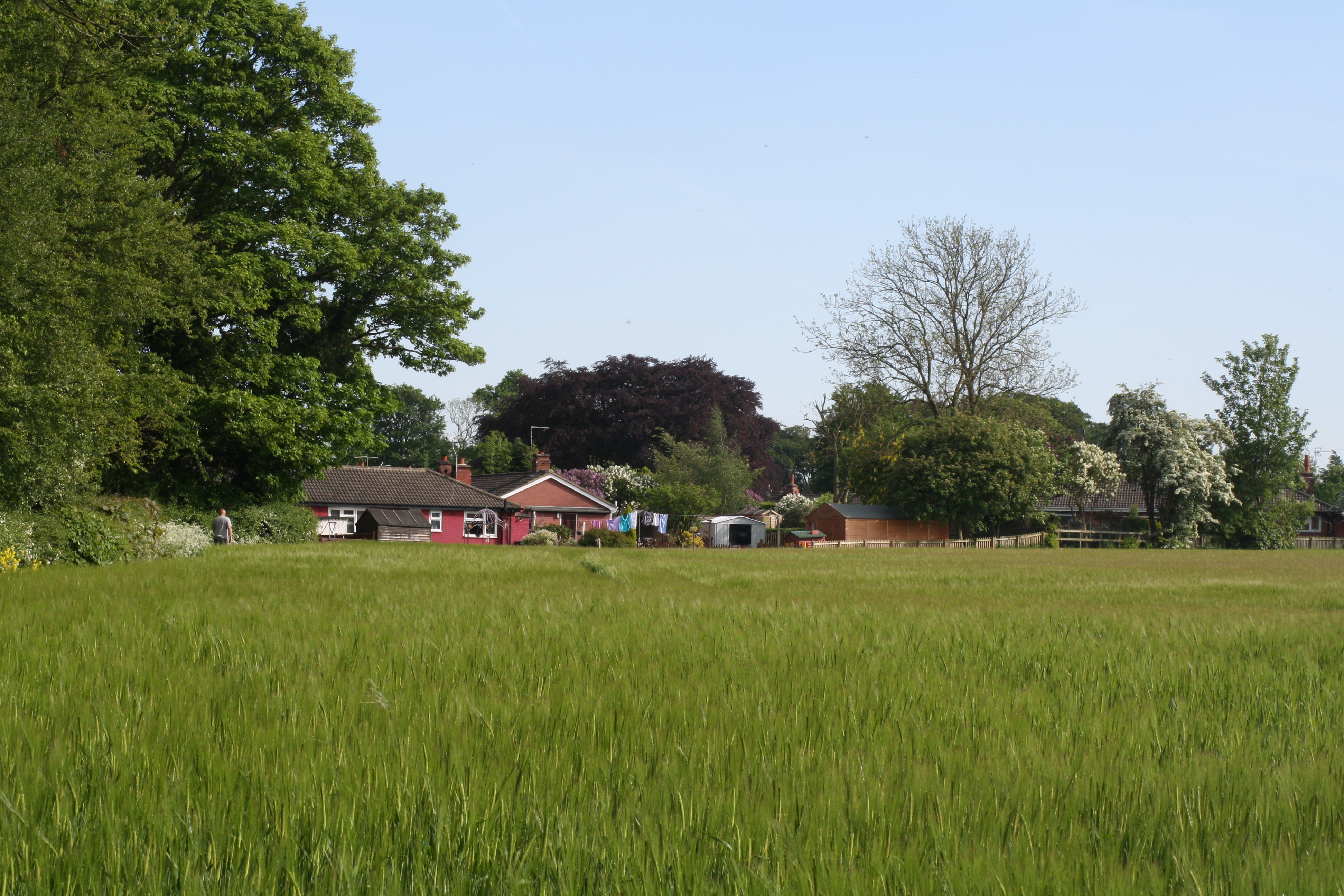 houses by a field